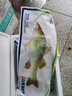 仙泉湖冷冻三去白蕉海鲈鱼700g/袋生鲜水产食材(350g*2条) 生鲜食材 实拍图
