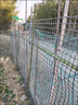 界图 塑料网格防护养殖养鸡围栏网玉米网围栏安全网防护网格护栏围网 1.5米高+3厘米孔+扎带 2.3mm厚(50米/卷)【简单防护】 实拍图