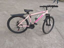 飞鸽（FLYING PIGEON）山地自行车成人男女变速山地车青少年中小学生车越野户外骑行单车 【铝合金】G8002代-辐条轮-粉色 26寸轮组（适合160-180cm） 21速入门版 实拍图