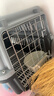 腆宠宠物航空箱小号 猫咪航空箱猫狗 猫包猫笼外出车载猫箱狗狗托运 实拍图