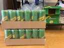 可口可乐（Coca-Cola）怡泉 Schweppes 无糖零卡 柠檬味 苏打水 330ml*24罐 调酒 实拍图