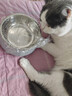 HELLOJOY不锈钢宠物食盆狗碗猫狗碗食盆水粮两用宠物碗喂食器 灰色 实拍图