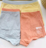 蕉内小特护301C儿童内裤A类男女童平三角7A抗菌棉裆透气亲肤高弹3件装 实拍图