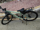 凤凰（Phoenix） 上海凤凰山地自行车成人男士女式学生变速宽胎越野赛车公路单车 钢架辐条轮绿【省力全轴承】 26寸24速【参考:158-188cm】 实拍图