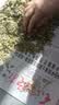 修年堂 鸡骨草叶50g茶搭养肝护肝茶包不野生鸡骨草叶茶广西大黄草煲汤 实拍图