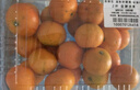 京鲜生 金秋砂糖橘/砂糖桔 2斤 生鲜水果  实拍图