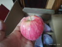 京鲜生 新疆阿克苏冰糖心苹果 净重9斤 果径75mm 新鲜水果 实拍图
