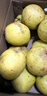 南步河北赵县雪花梨 赵州特产冰糖雪梨秋月梨香梨鸭梨皇冠梨新鲜水果 8.5斤 精选大果【单果280g+】 实拍图