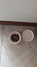 麦富迪猫粮 冻干鲜粮高蛋白成幼猫粮美毛亮毛 三文鱼鸡肉5.4kg 实拍图