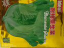 IDEAL理想农业 生菜种子四季耐抽薹蔬菜种籽盆栽种植生菜种子 约5000粒 实拍图