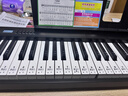 特伦斯折叠钢琴88键便携式电钢琴成人儿童电子琴重力度键盘V30pro家用 炫酷黑+专用琴包 实拍图