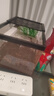Barbarous Growth乌龟饲养缸生态造景家用带盖小型别墅爬台底部排水专用箱巴西龟缸 盖板+晒台+雨淋过滤+晒背灯+礼包 中号-30*18*18cm 黑色【防逃逸|加厚|加高】 实拍图