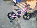 凤凰（Phoenix）儿童自行车儿童单车3-6岁小孩自行车6-10岁儿童自行车凤凰自行车 高配迷人粉丨一体轮+双碟刹+礼包 18寸【适合120-150cm】 实拍图