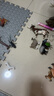 MECHILE仿真动物模型玩具套装野生动物园认知老虎长颈鹿大象犀牛斑马鳄鱼 森林20件套装 实拍图