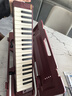 雅马哈（YAMAHA）口风琴成人小学生专用37键P37D专业教学娱乐儿童音乐入门键盘乐器 37键P-37D棕红色 实拍图