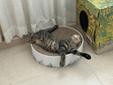 茨格曼猫梳子梳毛刷猫咪去浮毛猫毛清理器除毛器针梳狗狗梳子宠物用品 实拍图