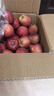 金百粟甘肃天水花牛苹果粉面红蛇大果 老人婴儿当季新鲜苹果水果生鲜 净重8.5斤(约24-26个) 彩礼箱 实拍图