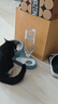 华元宠具（hoopet）猫碗双碗自动饮水狗碗狗狗盆食盆饭盆不锈钢猫粮宠物喝水猫咪用品 雾霾灰蓝-喂食喂水 实拍图