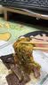 天美意勃肯鞋女拖鞋百搭女凉鞋时尚男女同款鞋子 实拍图