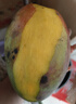 【双十一热卖】玉芒水果芒果新鲜上市 带箱2斤200g+ 实拍图