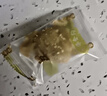 金华金钩广式饼干糕点休闲零食礼盒装饼酥茶点心早餐老湛江手信特产 袋装腊味鸡仔饼 265g 实拍图