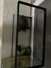 Barbarous Growth乌龟缸家用带晒台爬台生态亚克力饲养箱造景水循环客厅造景小鱼缸 裸缸+升级爬台设计【高清透亮】 PET 40*20.5*22.5【高清透白】 武士黑【热卖推荐】 实拍图