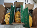 广东徐闻香水菠萝新鲜水果生鲜热带孕妇水果整箱包邮 【限时低价】1个装  单果650g起 实拍图