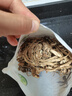 禾煜 福建茶树菇 200g  鲜嫩不开伞  火锅煲汤凉拌食材 实拍图