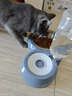 甜浪海猫碗双碗自动喂食器不锈钢狗盆幼猫吃饭喝水防打翻饮水机宠物食盆 实拍图