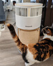 霍尼韦尔（Honeywell）宠物空气净化器吸猫毛除过敏源猫猫搭子 猫毛净化器杀菌消毒除异味【家电国家补贴】KJ360F-C22W 实拍图