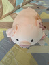 捉趣（ZHUOQU）可爱小猪玩偶毛绒玩具女孩趴趴猪公仔娃娃安抚陪伴抱枕520女礼物 bobo猪呆萌款【一只】 50cm 实拍图