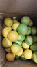 京喜加伦晚夏橙脐橙手剥橙 带箱9斤小果60-65mm 实拍图