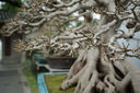 腾龙（Tamron）A071S 28-200mm F/2.8-5.6大光圈远摄大变焦28-200全画幅微单相机镜头28 200 索尼FE卡口 套餐四【送腾龙UV滤镜大礼包+享24期白条免息】 实拍图