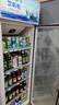 新飞（frestec）展示柜冷藏保鲜柜酒水饮料冰柜双开门冷藏柜酒店冷藏保鲜柜超市直冷玻璃门风冷无霜冰箱立式冷柜 大单门蓝白400L【4D风冷无霜】5层 实拍图