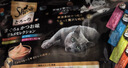 希宝（Sheba）进口猫零食成猫猫条鲣鱼+鸡肉+三文鱼+巴丁鱼12g*40条软包量贩装 实拍图