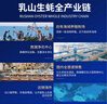 贝司令 鲜活乳山生态生蚝7XL 净重9斤 9-12只 生鲜源头直发 中秋聚餐  实拍图