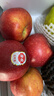 佳农 云南昭通红玫瑰苹果 4.6斤 12-15粒 生鲜水果礼盒装 实拍图