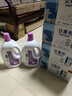 滴露（Dettol）衣物消毒液 薰衣草3L 99.9%杀菌除螨内衣儿童衣物除菌液配洗衣液 实拍图