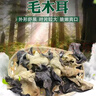 山东白背黑木耳干货特产精选头茬木耳山珍干货火锅凉拌食材批发 活动款【带箱1000g】精品木耳 精选【头茬】毛木耳 实拍图