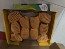 佳沛（zespri）新西兰  阳光金奇异果10粒礼盒巨大果单果约144-175g 水果 猕猴桃 实拍图
