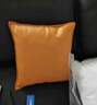芝华士皮沙发抱枕科技布轻奢客厅靠枕套现代靠垫腰枕大防水北欧 靓橙橘 60cm*60cm 枕套 (+三维棉内芯) 实拍图