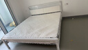 铁艺床1.8米x2米单双人床架1.5x2米钢架出租屋储物金属软包排骨床 白色床架平尾款+20CM弹簧床垫 1.5*1.9/2.0m【默认2.0m】 实拍图