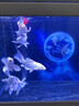 森森【包安装】鱼缸大型超白玻璃金鱼缸客厅落地水族箱免换水底滤鱼缸 1.2米35宽 超白底滤（三色可选）豪华水槽 实拍图