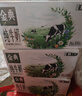 伊利金典 双限定娟姗纯牛奶锡林郭勒牧场整箱250ml*12盒 礼盒装 实拍图