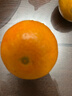 京鲜生 广西砂糖橘 净重4.5斤 单果55mm + 水果礼盒 源头直发包邮 实拍图
