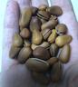 三只松鼠东北松子500g/袋 手剥开口 每日坚果炒货休闲零食地方特产 实拍图