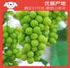 京鲜生 阳光玫瑰葡萄 青提2-2.5斤装 单果约10g 生鲜水果 实拍图