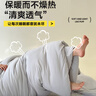 南极人被子 春秋四季被单人学生宿舍被芯棉被空调被5斤 150*200cm灰色  实拍图