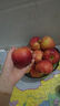 2025新果正宗大凉山丑苹果冰糖心盐源红富士当季孕妇新鲜水果生鲜 5斤 【中大果】75-80mm 实拍图