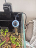 创星鱼缸加热棒电加热器自动恒温水族箱小型乌龟缸加温棒HCH 【自动恒温】适25L缸内蓝头HCH-50W 实拍图